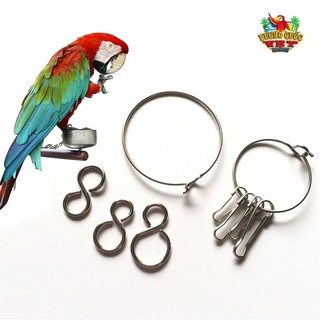 vòng kẹp tròn xích chân vẹt