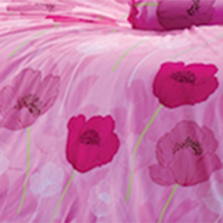 Drap Bọc Nhập Khẩu TOTO TT251