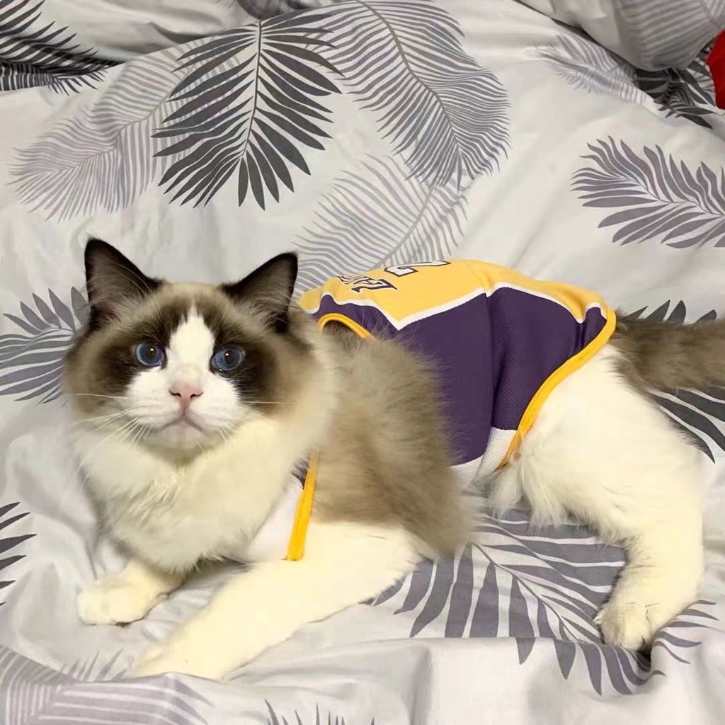 Áo Chó Mèo Áo Thun Xuân Hè Cho Thú Cưng áo Bóng đá XS-6XL