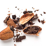 Cacao Nibs (cacao Ngòi) hữu cơ - Terrasoul - (170g - 454g)