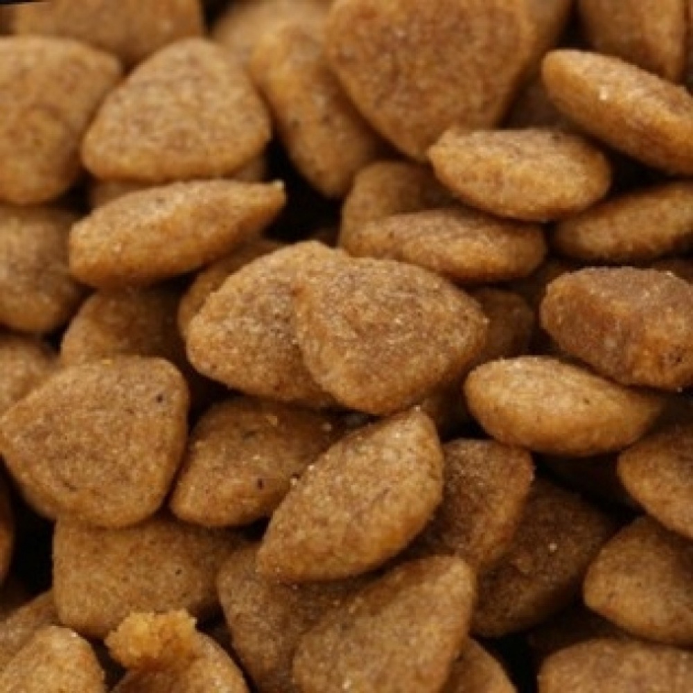 Thức ăn hạt cho Mèo mọi lứa tuổi Catsrang túi 400g