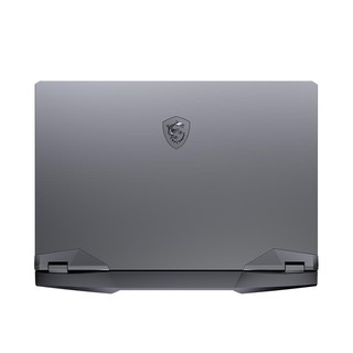 Laptop MSI Gaming GE66 Raider 10SFS - 474VN