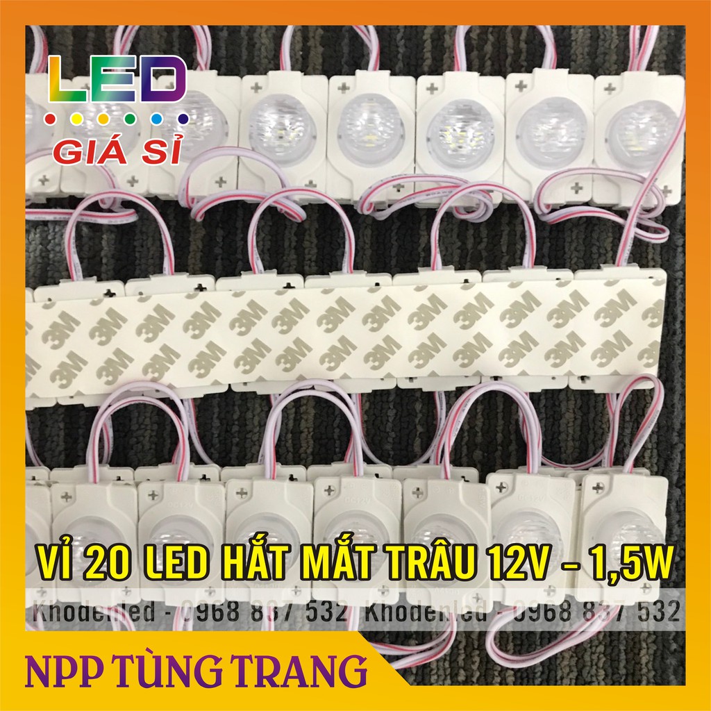 Vỉ 20 bóng led rọi mắt trâu 12V - 1,5W ánh sáng trắng, vàng