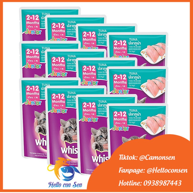 [QUẬN 2]PATE WHISKAS CHO MÈO CON thức ăn cho mèo vị cá ngừ