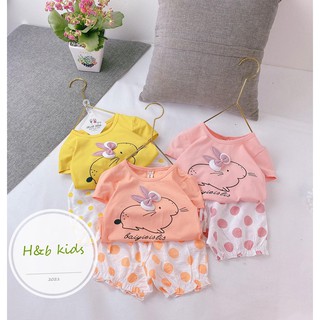 Bộ đồ trẻ em cotton co dãn 4 chiều quần đùi áo phông ngắn tay bé gái
