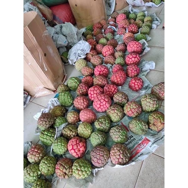 Nà rừng khô Tây Bắc loại 1 - chuyên dùng cho phái mạnh 1Kg