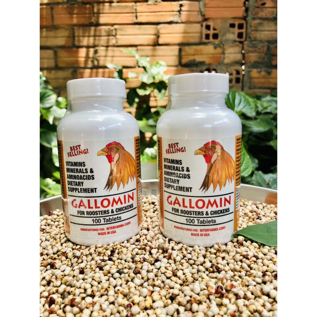 Gallomin thuốc nuôi cho gà đá tăng bo, dinh dưỡng cho chiến kê