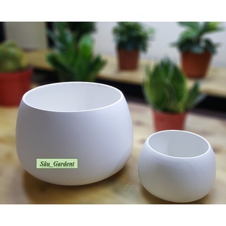 Chậu sứ Hạt dẻ