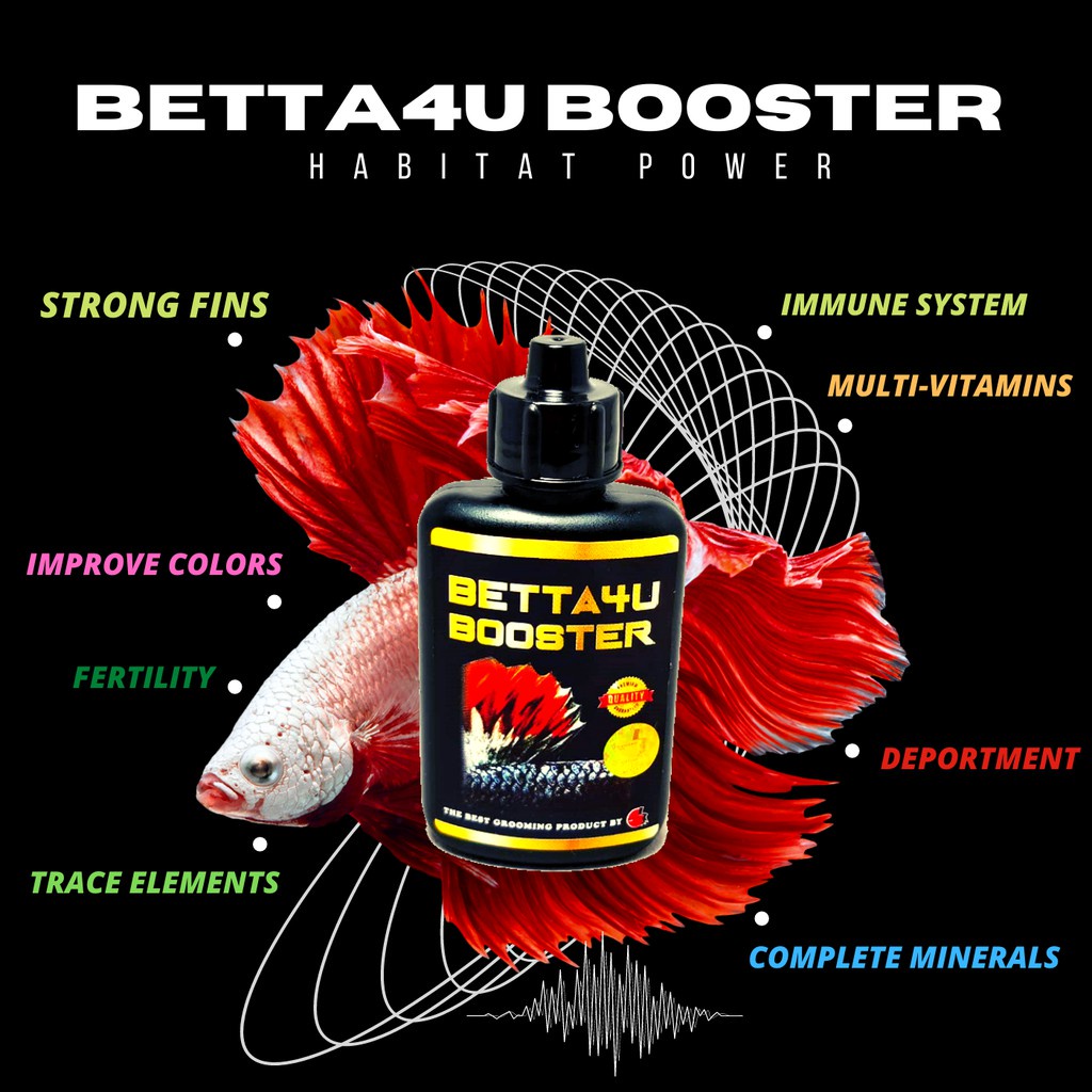 Betta4U Booster - PHIÊN BẢN MÀU ĐEN MỚI với MULTI VITAMIN🔥 Bộ tăng cường Betta4U chính hãng