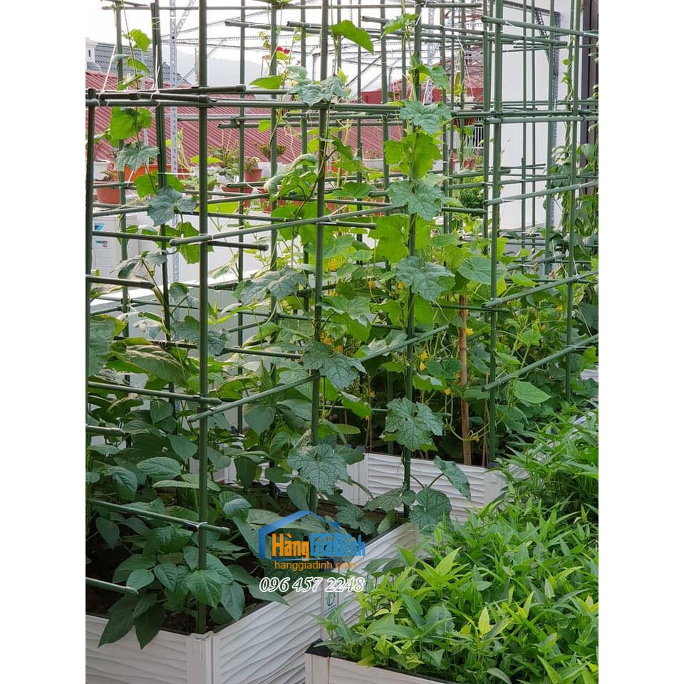Chậu trồng cây ăn quả cỡ to 1 mét cao 56cm