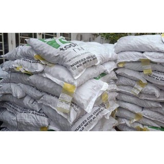 ÓC CHÓ CHILE NHÂN 500G