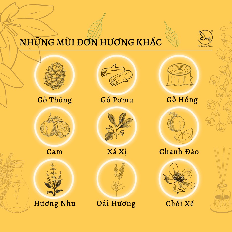 Combo 5 tinh dầu concept mùi hương thiết kế đặc biệt