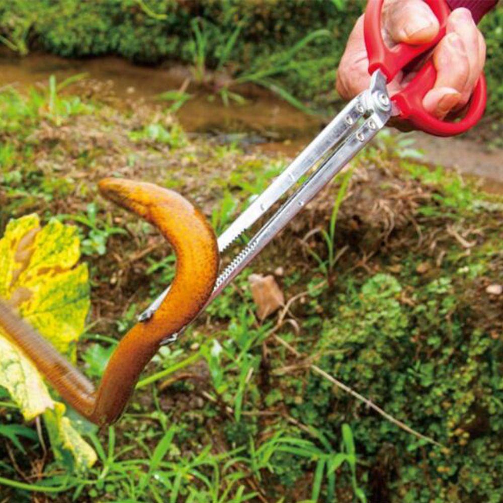 Kẹp Gắp Cua Biển Bằng Thép Không Gỉ Đa Năng