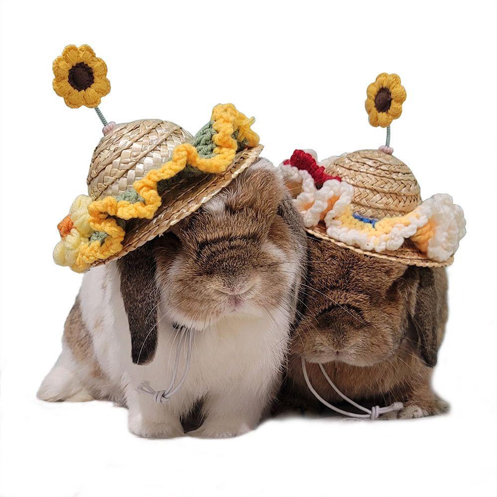 Nón Rơm Đan Trang Trí Cho Thú Cưng