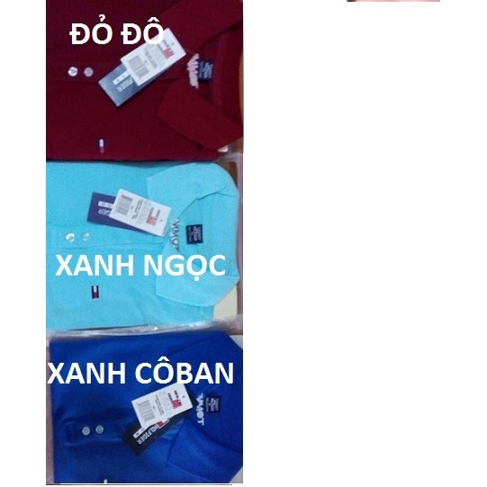 ÁO THUN NỮ (ĐỎ ĐÔ, XANH NGỌC, XANH CÔ BAN)