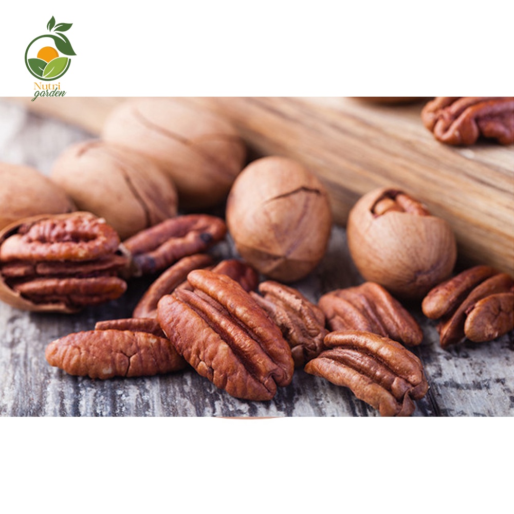 [Mã BMBAU50 giảm 7% đơn 99K] Nhân quả hồ đào Pecan Nut - Nutri Garden nhập khẩu Mỹ 265g