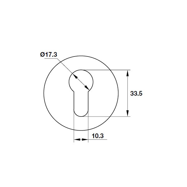 Nắp chụp ruột khoá 54x10x1.0mm 903.52.780