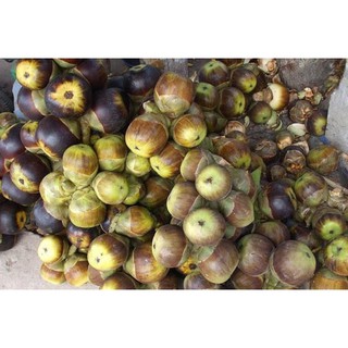 Hạt thốt nốt (hạt đác) sấy dẻo 100g