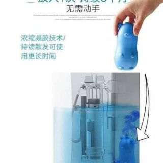 Lợn thả bồn cầu
