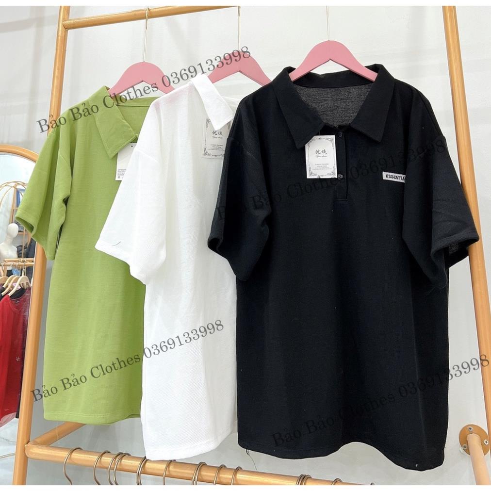 Áo Thun Polo Nam Nữ  Form Rộng Tổ Ong Logo Essen Vải Dày Mịn Thoáng Mát Thiết Kế Thời Trang Kiểu Dáng Năng Động