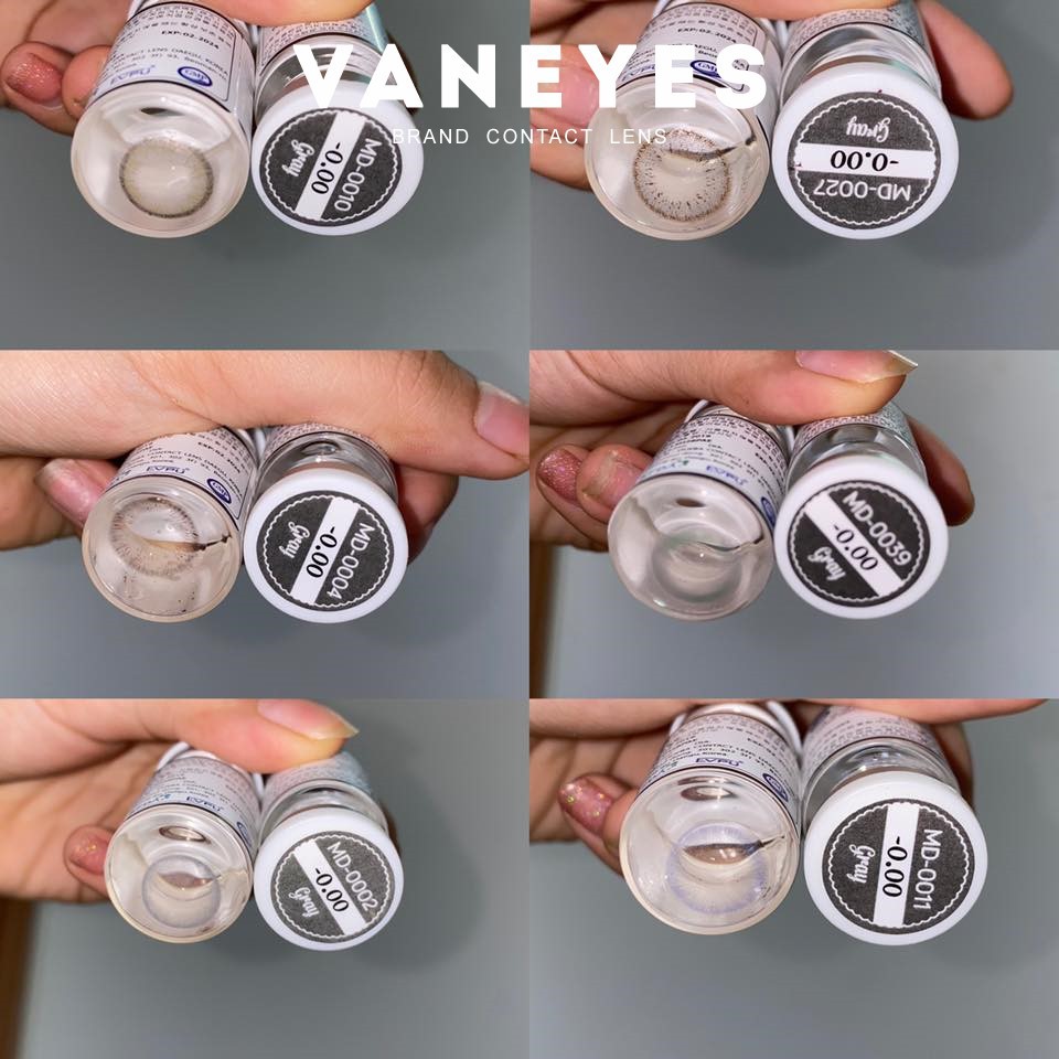 Lens Xám HOT 2020 (Lens Gray giãn ít size S) 4.9