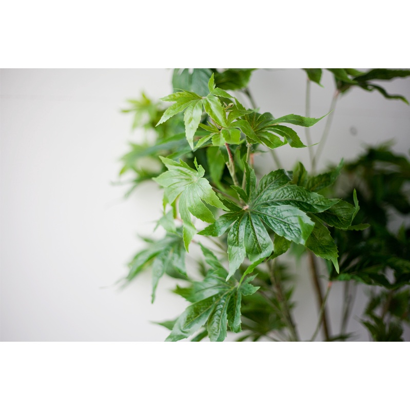 Cây Phong cây giả decor CC71 - 150cm - Jassi Decor