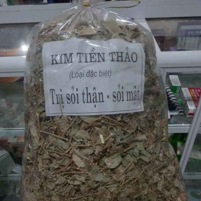Kim tiền thảo