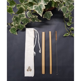 SET 2 ống hút tre và 1 cọ + túi canvas