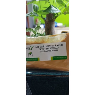 Bột Chiết xuất trà xanh - Green Tea Extract Powder