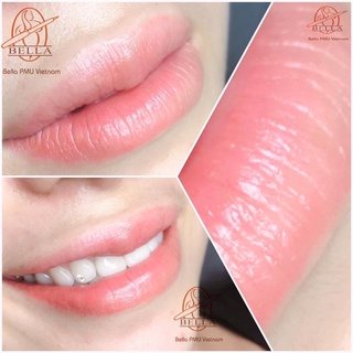 Bộ sản phẩm mực môi Bella