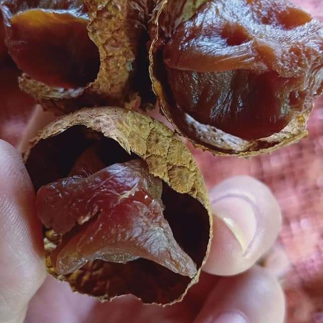 Vải sấy bắc giang