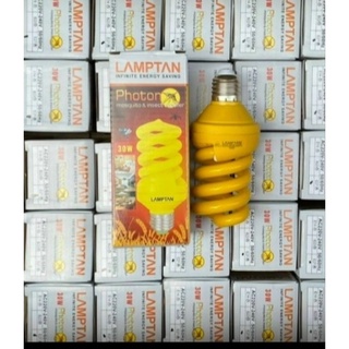 Bóng đuổi muỗi Lamptan