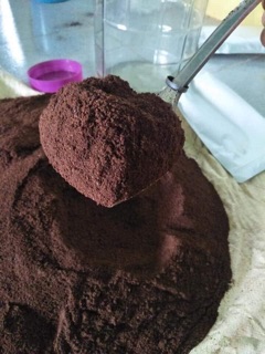 CA CAO NGUYÊN CHẤT ĐĂK LĂK