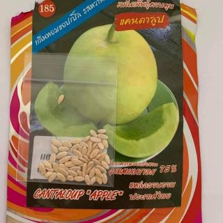 DƯA LÊ XANH SIÊU NGỌT THÁI LAN