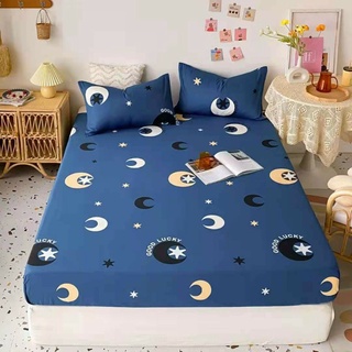 Bộ ga gối cotton