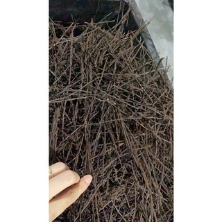 DỚN CỌNG TRỒNG LAN 200g