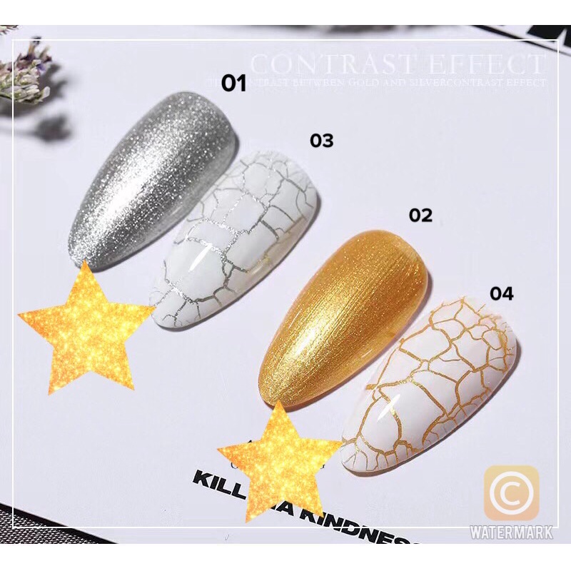 (Hàng mới về ) Sơn gel nền Vàng ,Bạc - Sơn gel nứt Trắng , Đen Vendeeni xịn xò dành cho Nail (Hàng loại 1)