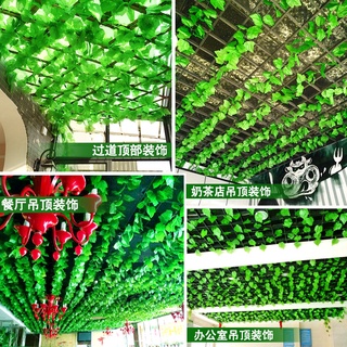Combo 300 dây lá thường xuân Sỉ
