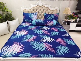 Drap thun Hàn quốc