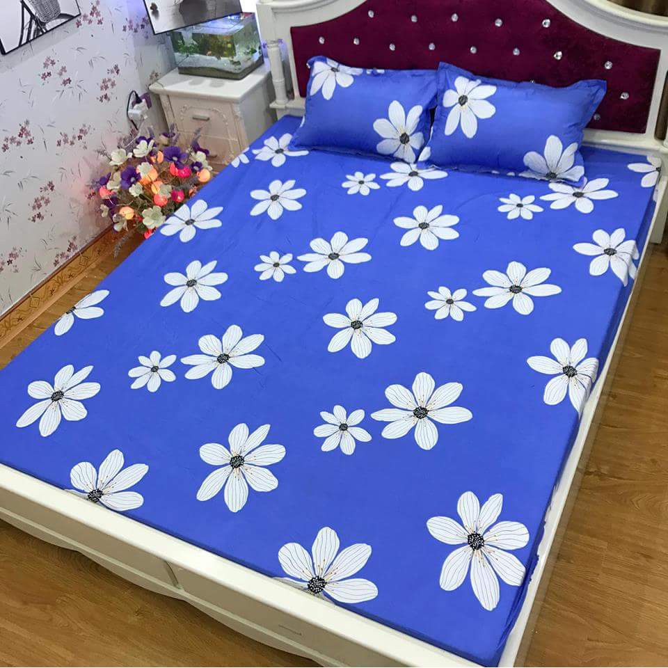 Ga gối cotton poly hoa bèo m6 / m8