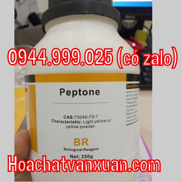 Peptone lọ 250g pepton CAS 73049-73-7 nuôi cấy vi sinh đông trùng hạ thảo