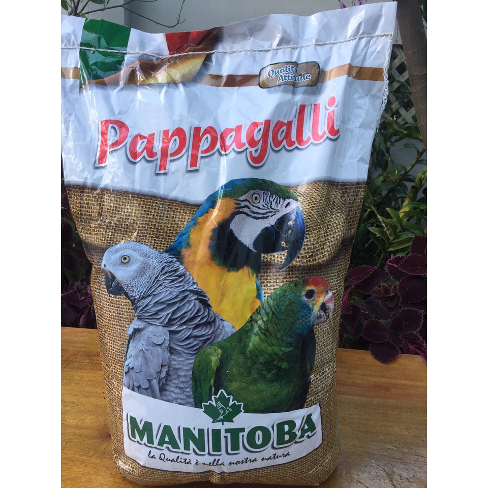 Hạt trộn cho vẹt size trung và lớn hàng ý papagalli Manitoba MÃ 6060