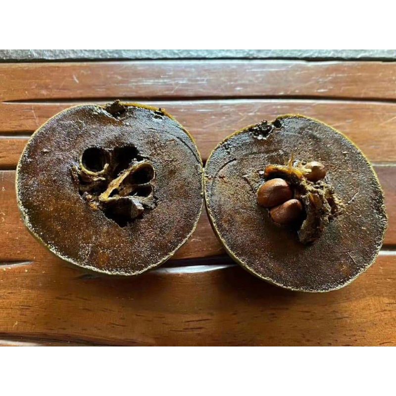 Hồng socola cây giống