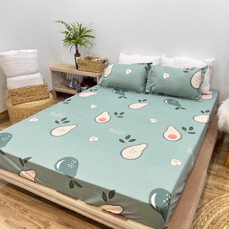 Ga giường May Hoàng minh cotton poly kích thước 1m2 1m6 1m8 2m2, drap chun bọc đệm + 2 vỏ gối