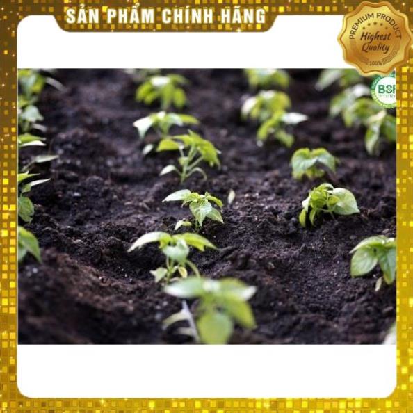 ĐẠM CÁ HỒI HUMIC HỮU CƠ⚡️CAN TO GIÁ RẺ - HÀNG CHÍNH HÃNG ⚡️NHÚ ĐỌT, RA RỄ, MÃ ĐẸP, TO TRÁI, NGỌT TRÁI 2