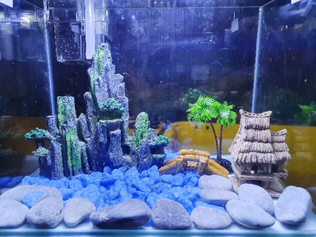 COMBO HỒ CÁ TRANG TRÍ SẴN 30x19x21cm 770