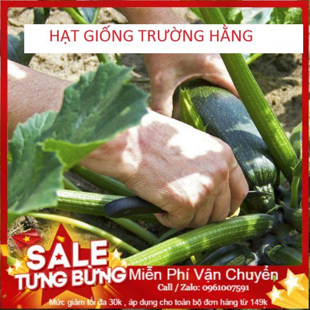 Hạt Giống Bí Ngòi Xanh F1 - 10 hạt