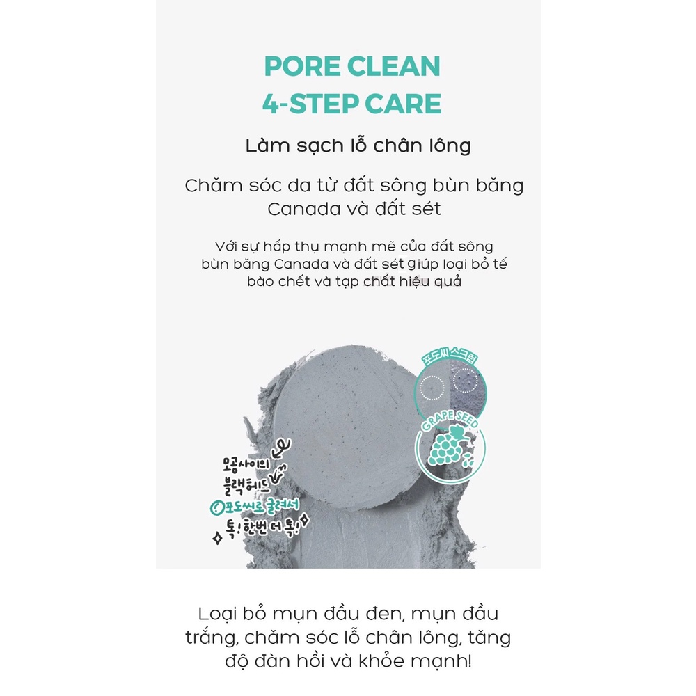 Thanh Lăn Loại Bỏ Mụn Đầu Đen Từ Đất Sét Bùn Băng Neogen Dermalogy Canadian Clay Pore Stick 28g