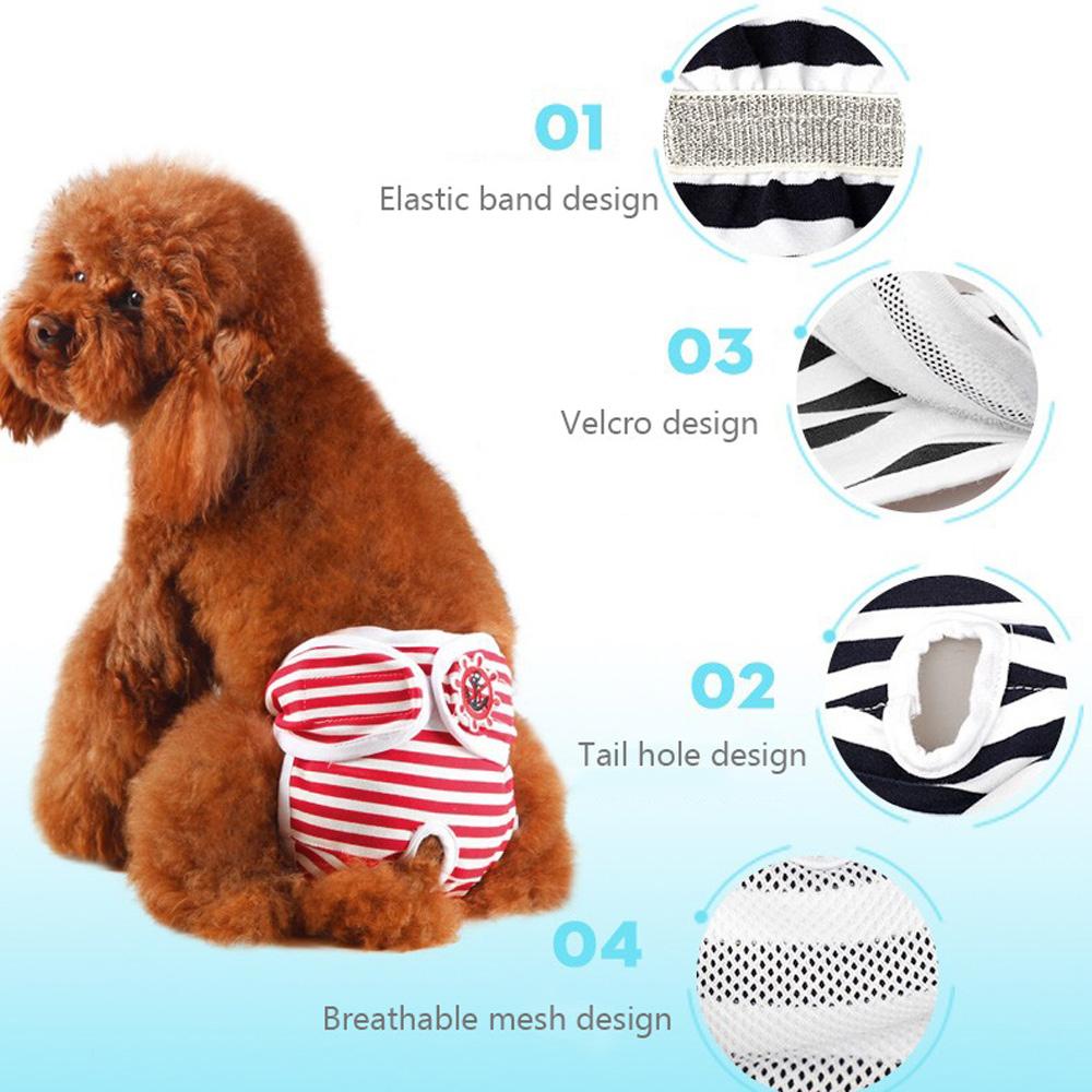 AARON1 Quần LóT Sinh Lý BằNg Cotton Cho Thú Cưng