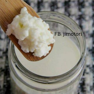 Men nấm sữa kefir ( chi nhanh HCM)